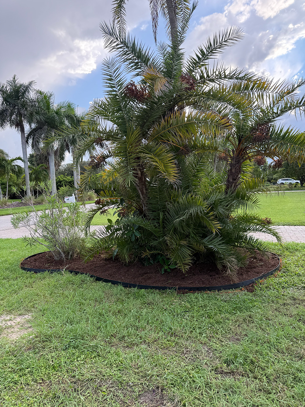 Florida landscaping and mulching